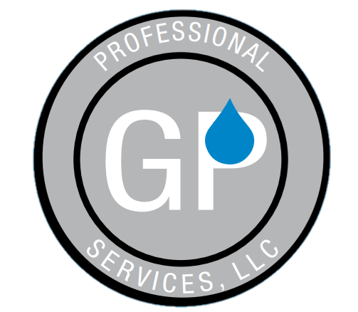 Avatar for GP Professional Services LLC